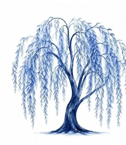 A blue willow tree with long, flowing branches